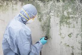 Best Air Quality Testing for Mold Spores  in Rockwell, AR